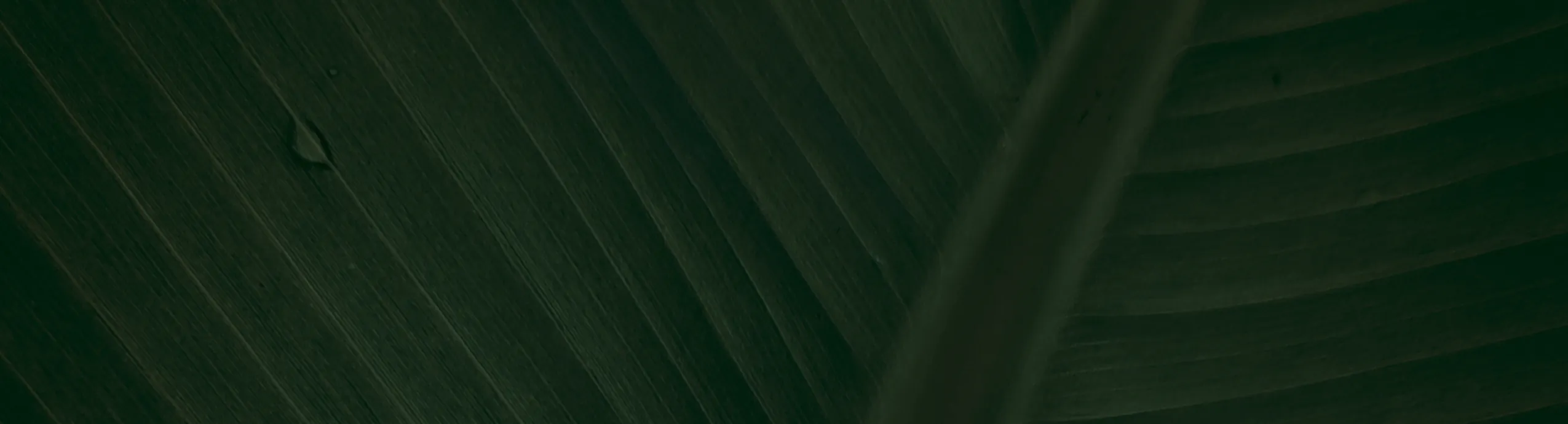 COSM Éthique – Gel Nettoyant Purifiant Anti-Imperfections 200 ml